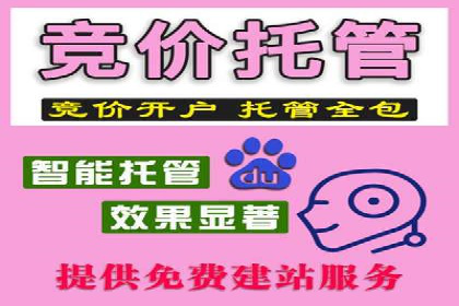 SEM托管公司案例分享：打造高效广告投放